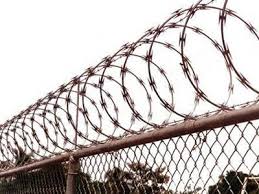 Pin By Industeco On Barbed Wire Jinshi Wire Fence Barbed Wire Fencing Security Fence