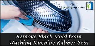 Use a damp cloth and a small amount of liquid. How To Remove Black Mold From Washing Machine Rubber Seal