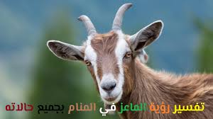 تفسير حلم رؤية سقوط او خلع الاسنان الامامية في الحلم او لابن سيرين او لابن كثير او النابلسي او لابن شاهين ، رمز رؤية سقوط الضروس الأمامية في الحلم دلالات الرؤية كاملة ، حيث من المعروف ان اصابة الاسنان بالتسوس يجعل شكل الأسنان سئ وتؤثر علي المظهر. Ø§Ù„Ù…Ø§Ø¹Ø² ÙÙŠ Ø§Ù„Ù…Ù†Ø§Ù…