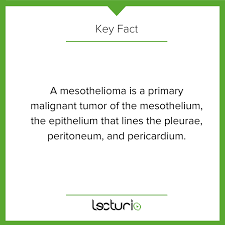 Usually, this cancer is found in the lining of the lungs and th. Early Warning Signs Of Mesothelioma Lecturio Medical ÙÙŠØ³Ø¨ÙˆÙƒ