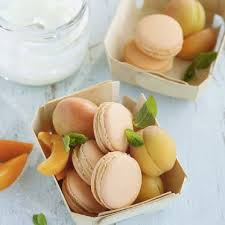 Aprikosen Joghurt Macarons Rezept Kuchengotter Macarons Rezept Macarons Macaron Rezept