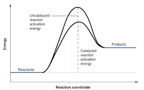 The Reaction Rate Or Rate Of Reaction Is The Speed At Which Reactants Are Converted Into Products Reaction Rate Chemistry Chart