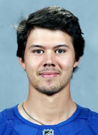 Player photos for the 2017-18 Providence College at hockeydb.com