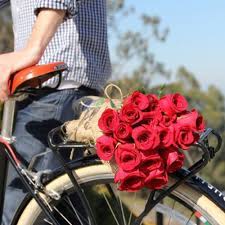 Tu o il tuo destinatario potrete ricevere il mazzo di fiori in. Consegne Fiori Domicilio Nettuno Consegne Fiori Domicilio Anzio Roma