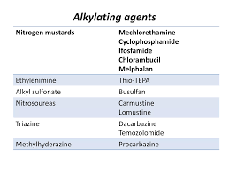 Image result for Alkylating Agent