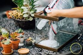 Easy Diy Terrarium From An Old Fish Tank Fish Tank Terrarium Diy Fish Tank Terrarium Diy