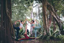Facebook is showing information to help you better understand the purpose of a page. Best Yoga Retreats In Malaysia Yogawalls