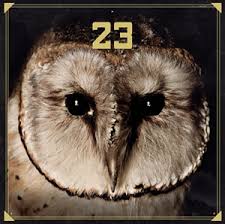 23 (23 album) - Wikipedia