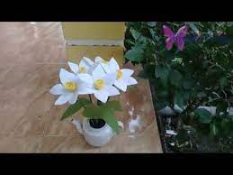 Cara membuat bunga begonia polkadot dari kain flanel dengan cara yang sangat mudah ditiru. Cara Membuat Bunga Tulip Dari Kain Flanel Youtube Kain Flanel Bunga Bunga Tulip