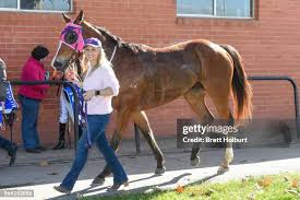 90 Kasey Keys Photos & High Res Pictures