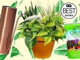 We did not find results for: 12 Best Indoor Plants That Even You Can T Kill Gq