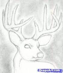 How To Draw A Deer Head Buck Dear Head Step 4 Deer Drawing Deer Sketch Deer Drawing Easy