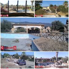 Image result for discoteche mantova logo marche simboli