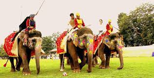 A local rajput family who themselves reside in the area organize elephant, horse and camel safaris in the jungle using. Adventure In Jaipur Jaipur Stuff