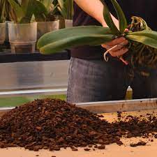 Maybe you would like to learn more about one of these? What Kind Of Soil Should I Plant My Orchid In Orchid Potting Mix Repotting Orchids Orchid Soil
