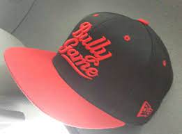 Bully Game Hat Raised Letters Www Bullygame808 Com Bully Game Gaming Clothes Bullying
