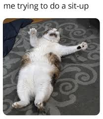 36 Hiss Terical Caturday Cat Memes That Ll Keep You Smiling All Day Long Funny Animal Memes Funny Animal Jokes Cute Animal Memes