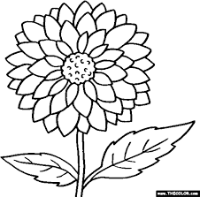 Touch device users, explore by touch or with swipe gestures. Clipart Flowers Coloring Outline Images Of Marigold Png Download Full Size Clipart 1355794 Pinclipart