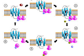 Image result for Centema