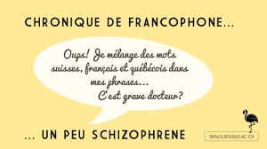 Le français est la langue officielle de nombreux pays. Francophonie Mon Meli Melo De Mots Suisses Francais Et Quebecois