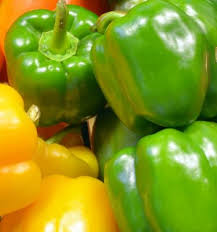 Image result for Capsicum