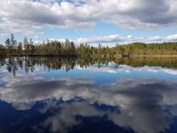 Get sundsvall's weather and area codes, time zone and dst. Experience In Sundsvall Sweden By Isabelle Erasmus Experience Sundsvall