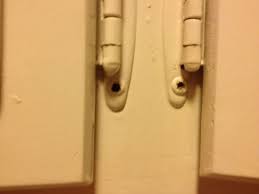 Fill old hinge mortises in both shutters with an epoxy filler. How Do You Remove Painted Striped Screws Off Old Cabinet Doors Hometalk