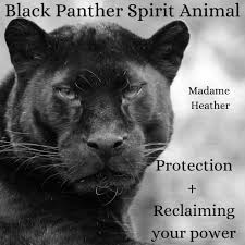 One interpretation is that it can symbolize a. Spirit Animals That Symbolize Protection Cat Spirit Animal Spirit Animal Animals