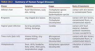 Fungi