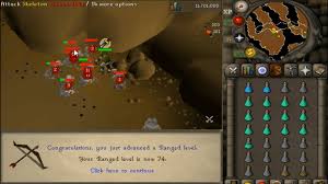 Slayer is a skill that allows players to kill monsters that may otherwise be immune to damage. Osrs Range Training Guide Rapid Places To Level Range