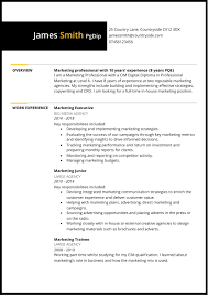 How to write a curriculum vitae (cv format, sample or example for job application). Manually Revamp Your Cv Or Resume For Your Dream Job By Faultlesswriter Fiverr