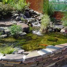 Maybe you would like to learn more about one of these? Buy Pond Armor Sku Tan Ga Non Toxic Pond Shield Epoxy Paint 1 5 Gallon Tan Online In Vietnam B00dp4rl9q