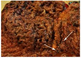 Image result for Indigoblaa 1986 Sado Denmark