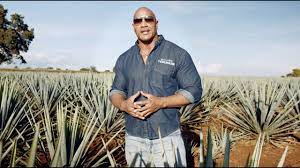 Maybe you would like to learn more about one of these? Introducing Teremana Tequila The Land Youtube