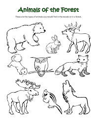 850 x 1100 jpeg 60 кб. 31 Polar Animals Coloring Pages Free Printable Coloring Pages