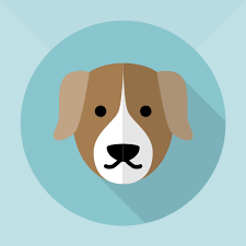 Je suis fan de mangas et d animations, d'instruments de musique, j'aime rigoler, m'amuser, débattre, sortir et apprendre des autres. Chien Perdu France