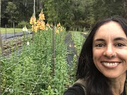 Local organic compost recommendations for watermelons