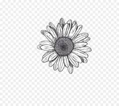 Flower Drawings Png Free Flower Drawings Png Transparent Images 69785 Pngio Orange and pink flower illustration, flower watercolor painting drawing, red watercolor flowers transparent background png clipart. flower drawings png transparent