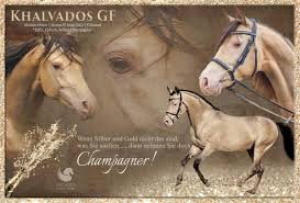 Khalvados GF - Home | Facebook