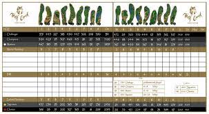 We did not find results for: Wolf Creek Golf Club Mesquite Mesquitegolfcourses Com
