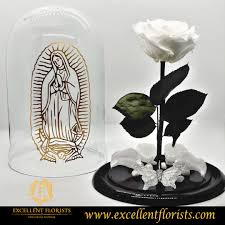 Check spelling or type a new query. Guadalupe S Rose In A Deluxe Glass Dome By Excellent Florists Flower Delivery Preserved Roses Sympathy Flowers