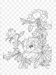They are bright, fragrant and allow plants to thrive. Flower Line Drawing Png Images Pngwing