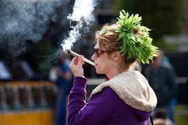 Van harte welkom bij zwoofs; Verslaafd Aan Het Eigen Gelijk De Groene Amsterdammer