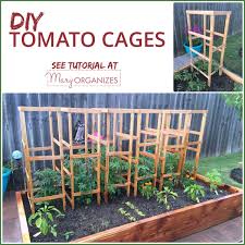 I used three for each cage. Diy Tomato Cage Tutorial Garden Tips Creatingmaryshome Com