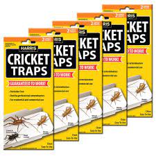 These were only some of the most effective homemade remedies for dealing with camel crickets. Harris Cricket Trap Value Pack 10 Pack Ctrpvp The Home Depot