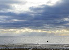 Little Harbor Beach Buzzards Bay Coalition