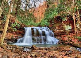 There's a lot of features right off of this roadway, including a restaurant, tennis courts, park office, and more. State Park Spotlight Holly River Friends Of Blackwater