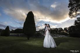 This includes capturing the lead up events, the day's preparations. Steps To Hiring The Professional Wedding Photographer Melbourne Tree Photo Video Studio