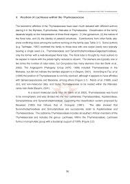 Image result for Synandrodaphne paradoxa