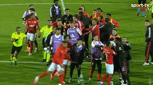 Mário Branco e não só: todos os castigos que resultaram da confusão no final do Santa Clara-Benfica